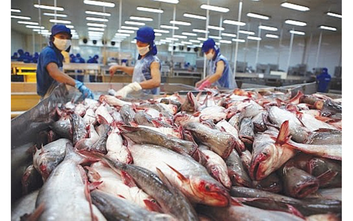 Doanh nghi&ecirc;̣p xu&acirc;́t kh&acirc;̉u thủy sản c&acirc;̀n khai thác lợi th&ecirc;́ có được từ các Hi&ecirc;̣p định thương